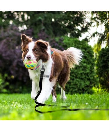 Buy Wolfone 9m Black Dog Tow Line - Waterproof Durable Leash for Training & Outdoor Adventures - Buy Online on GoSupps.com