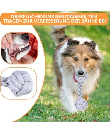 Cabertary 6-Piece Indestructible Dog Toy Set | Chewing Rope Knot Balls for Small & Medium Dogs | Robust Dental Care Toys - Buy Online on GoSupps.com