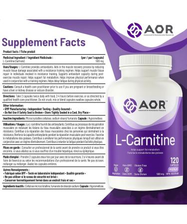 AOR - L-Carnitine 500mg 120 Capsules Pure L-Carnitine Tartrate Supports Energy Metabolism Muscle Recovery & Athletic Performance Promotes Fitness Goals L-Carnitine Capsules for Active Lifestyle - Buy Online on GoSupps.com