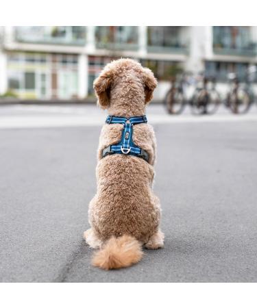 DOG Copenhagen Comfort Walk Air 3.0 Hundegeschirr - Ocean Blue | Premium Dog Harness for Ultimate Comfort | Shop Internationally - Buy Online on GoSupps.com