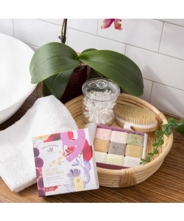 Pre de Provence Luxury Gift Box Set - Assorted Herb Scented Soaps (Pack of 9) 7.9oz & 0.88oz Bars - Premium French Bath and Body Collection - Buy Online on GoSupps.com