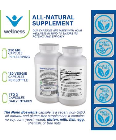 Nano Boswellia 250mg Supplement - Potent Boswellia Serrata Extract - 120 Veggie Capsules - Buy Online on GoSupps.com