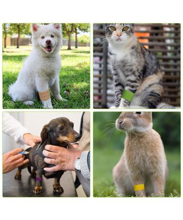 8 Roll Self Adhesive Bandage Colorful Vet Wrap for Dogs Cats Bird Elastic Wrap Bandages for Medical Sports Non-sticky Hair Bandage Tape 2.5cm *4.5m - Buy Online on GoSupps.com