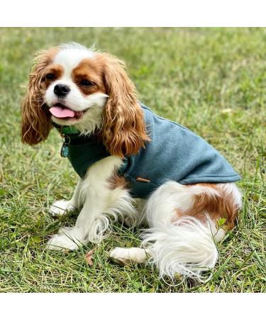 Gooby Zip Up Microfiber Fleece Dog Sweater - Turquoise, Small - Winter Step-in Jacket for Small and Medium Dogs - Buy Online on GoSupps.com