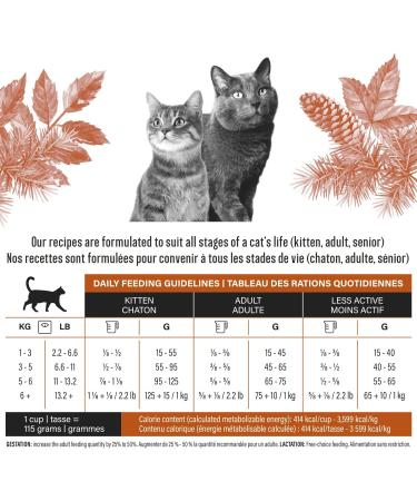 Dry Cat Food 1.6 kg - Chicken Recipe - No Corn or Soy - Protein Rich - Kitten Food - Adult Cat Food by Lily & Jax Chicken 1.6 kg (Pack of 1) - Buy Online on GoSupps.com