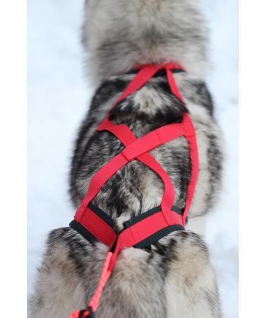 Northern Howl X-Back Dog Harness - XL Red for Canicross Bikejoring Skijoring & Dogscooting - International Shipping Available - Buy Online on GoSupps.com