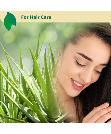 Ecla Skin Care 100% Pure Aloe Vera Gel (8 oz / 240 ml) | For Face, Body & Hair | Organic, Cold-Pressed, Alcohol-Free - Buy Online on GoSupps.com
