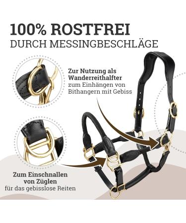 Buy Esposita Seilhafter Ranch Halfter for Horses - Durable Leather & Rope Bridle with Stainless Brass Fittings Ideal for Riding & Hiking - Size Full/WB Black - Buy Online on GoSupps.com
