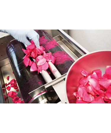 Weleda Wild Rose Body & Beauty Oil - 3.4 fl oz | Nourishing Natural Skin Care - Buy Online on GoSupps.com