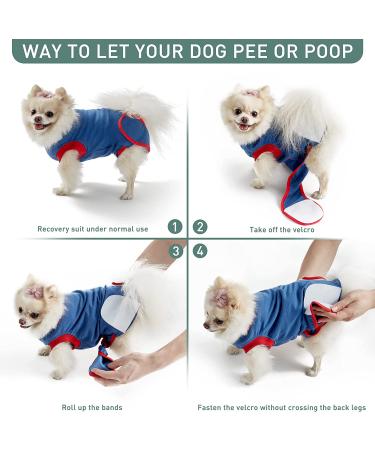 Eterish Dog Surgery Recovery Suit for Abdominal Wound - Post-Surgery Onesie for Dogs - Neuter/Spay Recovery Suit - Buy Online on GoSupps.com