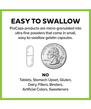 Andrew Lessman Carnislim 250-60 Capsules - Fat Burning & Energy Metabolism Support | Ephedra-Free Formula with 250mg Carnitine & B-Complex | No Additives - 60 Count - Buy Online on GoSupps.com