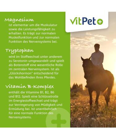 Vitpet+ Magrelax for Horses - Magnesium & Tryptophan Support for Muscles & Relaxation | 2kg with Dosing Spoon - Buy Online on GoSupps.com
