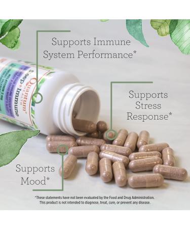 Quantum Health Sleep Immune Support Supplement Melatonin 2mg L Theanine & Valerian Root Plus Elderberry Vitamin C & D Immunity Boost 30 Capsules - Buy Online on GoSupps.com