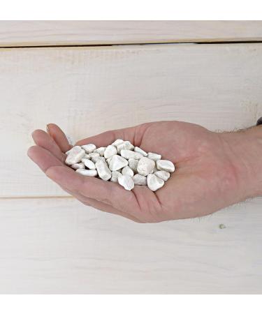 Landare 1.8kg White Pebble Stones - Decorative Gravel for Vases & Gardens (6-10 mm) - Small Decorative Stones - Buy Online on GoSupps.com