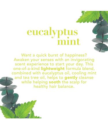 OGX Eucalyptus Mint Body Lotion 19.5 Fl Oz - Intensely Invigorating Formula - Buy Online on GoSupps.com