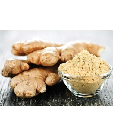 Organic Ginger Powder NPN 80090906/ Traditional Spice with Digestive Benefits/ 100g - Buy Online on GoSupps.com