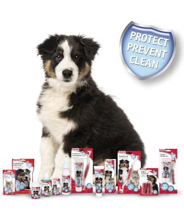 Beaphar Puppy Dental Care Kit | Small-Headed Toothbrush & Liver-Flavoured Toothpaste 50g Tube - Buy Online on GoSupps.com