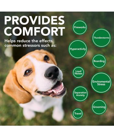 Vet's Best Comfort Calm Supplements for Dogs Helps Calm Dogs - Promotes Relaxation and Balanced Behavior - 60 Chewable Tablets - Buy Online on GoSupps.com