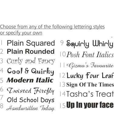 Engraved Solid Brass Horse Headcollar Nameplate 60mm x 15mm - Buy Online on GoSupps.com