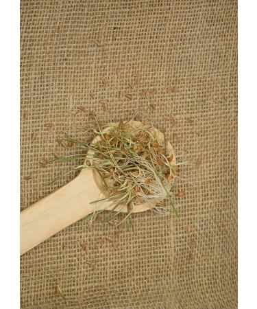 Royal Lee Organics Organic Hard Red Wheat Berries - 10 lb Bag - Buy Online on GoSupps.com