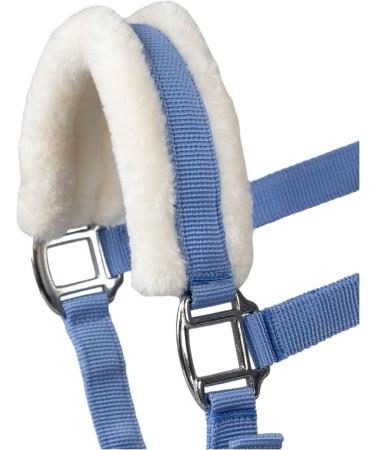 Buy RL24 Halter with Plush Padding | BASICLINE in 6 Colors for Shetland Pony Thoroughbred Warmblood - Baby Blue Available - Buy Online on GoSupps.com