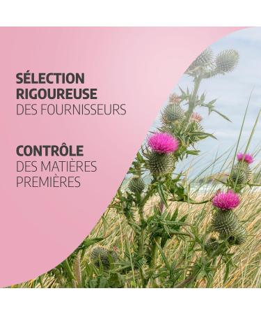 Milk Thistle 300 mg - 200 capsules - Ecocert certified - Buy Online on GoSupps.com