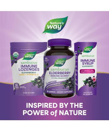 Nature s Way Sambucus Elderberry Immune Support Gummies for Kids & Adults* with Black Elderberry Extract Vitamin C Vitamin D3 and Zinc 60 Gummies (Set of 3) Original 180 ct - Buy Online on GoSupps.com