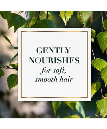Shop Birch Bark Extract Sulfate-Free Hair Conditioner - Nourishing Hydrating & International Shipping Available - Buy Online on GoSupps.com