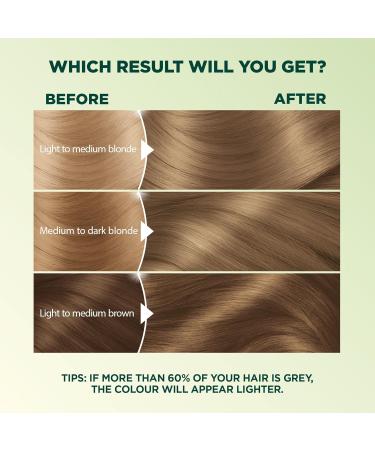Garnier Nutrisse Ultra Cr me Permanent Hair Dye 100% Grey Coverage Vegan Formula Nourished Hair Long-Lasting Rich Colour 71 Dark Ash Blonde 1 Application Packaging May Vary BLONDE SHADES 71 Dark Ash Blonde - Buy Online on GoSupps.com