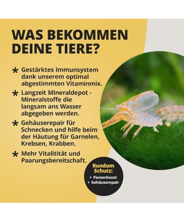 NatureHolic - MineralCube Vitamin Power I for mineral intake I with valuable vegetables I also ideal as holiday food I does not pollute the water I 47ml - Buy Online on GoSupps.com
