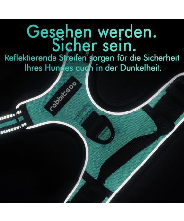Rabbitgoo Medium Dog Harness - No Pull Adjustable Breathable Control Harness for Large Dogs - Reflex Stripes Safe Guide in Mint Green (1 Pack) - Buy Online on GoSupps.com