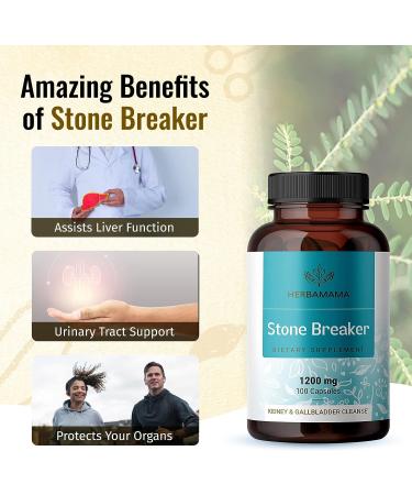 HERBAMAMA Stone Breaker Chanca Piedra Pills - Organic Kidney Stone Dissolver - 1200mg 100 Capsules - Buy Online on GoSupps.com