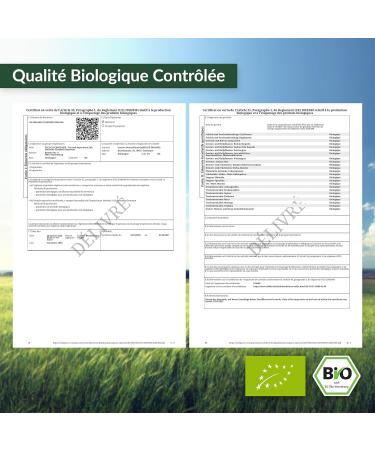 1 kg de prot ine de riz BIO avec 84 4% de prot ines sans additifs naturellement v gan sans soja (1000g) - Buy Online on GoSupps.com