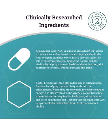 2nd Springs ALA & ALC Complex + Brain Support + Magnesium Bisglycinate Bundle | Energy Focus Memory Cognitive Support Nerve Health Calm & Daily Wellness - Buy Online on GoSupps.com