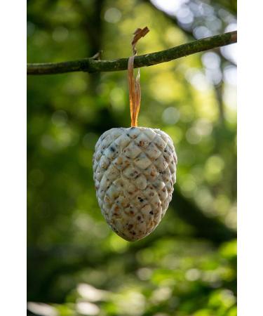 Buy DoBar 24104e Premium Bird Feed Mix | High-Quality Fat-Filled Pine Pins for Wild Birds - All-Year Garden Feed - 8 Large Packs - Buy Online on GoSupps.com