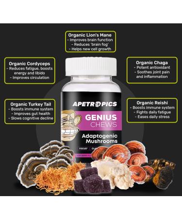 Apetropics Genius Chews - Nootropic Brain Gummies with Mushrooms - Very Berry Flavor - 30 Fruit Chews (Pack of 1) - Buy Online on GoSupps.com