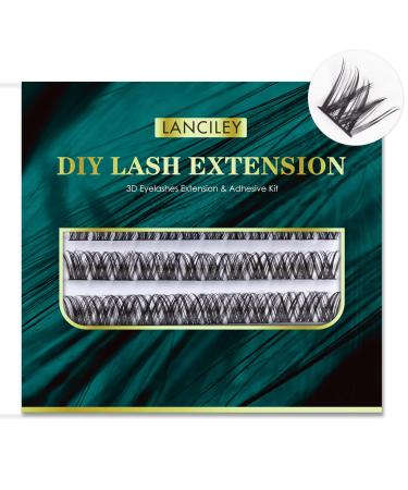 Lanciley Individual Lashes 60 Pcs Cluster Lashes False Eyelashes with Glue Super Thin Band C/CC/D Curl 10-16mm Length DIY Eyelash Extensions Reusable Soft & Comfortable - Smile Style Black 1 60 clusters - smile