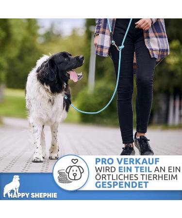 Happyshephie Adjustable Dog Leash 2.5m - Robust Reversal Leash for Medium & Large Dogs - Arctic Blue - Perfect for International Shipping - Buy Online on GoSupps.com