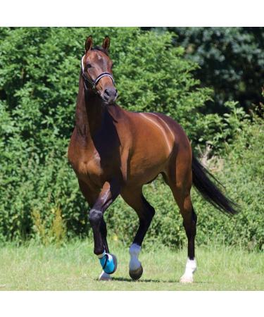 Woof Wear Medical Hoof Boots - Blue | Close Fitting & Durable Hoof Protection for Horses - Buy Online on GoSupps.com