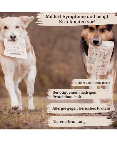 Hundreds of Natural Vegan Dental Sticks for Dogs - 3-Pack Hypoallergenic Chews for Tartar Care | 100% Natural Dog Chewing Items - Dream Catcher - Buy Online on GoSupps.com