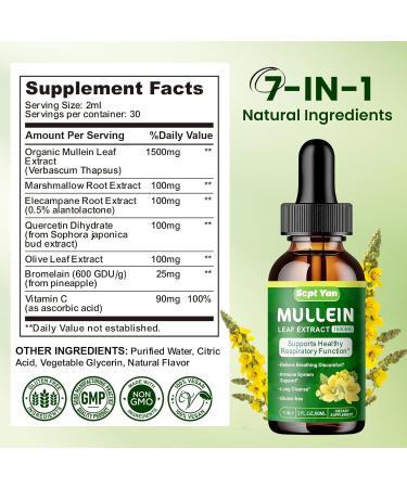 Mullein Drops for Lungs - 1500mg Mullein Leaf Extract Liquid Organic Herbal Supplement Support Lung Detox & Cleanse, Immune, Respiratory Function for Healthy Breathing - Natural Flavor, 2 Fl Oz, Vegan - Buy Online on GoSupps.com