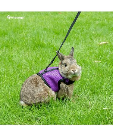 Adjustable Soft Harness & Elastic Leash for Rabbits | Niteangel - Buy Online on GoSupps.com