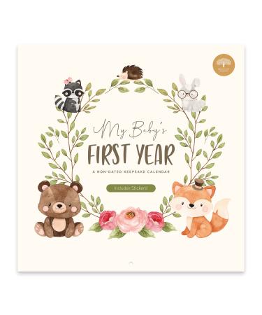 Bright Day Baby's First Year Calendar - 1st Year Tracker - Journal Album To Capture Precious Moments - Milestone Keepsake For Girl or Boy