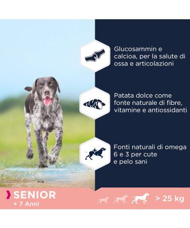 Eukanuba Grain Free Senior Large Breed Sea Fish Dog 3kg - Buy Online on GoSupps.com