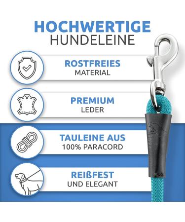 Shop Happyshephie 2.5m Adjustable Dog Leash for Medium & Large Dogs - Robust Reversible Design in Ocean Teal - Buy Online on GoSupps.com