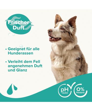 Beaphar Dog Shampoo for All Breeds - Macadamia Oil & Aloe Vera - Vegan Paraben-Free Fresh Fragrance - 250 ml for Shiny Coat - Buy Online on GoSupps.com