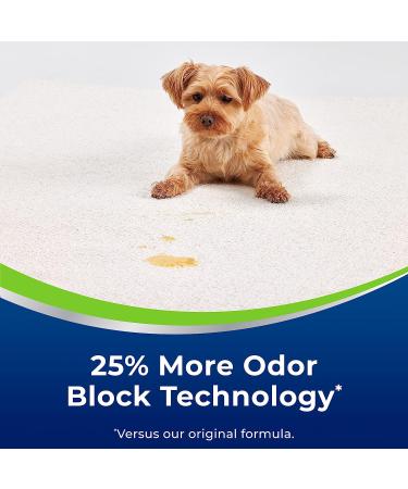 Woolite Advantage Heavy Traffic Carpet Foam - 4 Pack - New 2022 | Deep Cleaning Formula - Buy Online on GoSupps.com