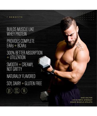 Kaged Muscle Plantein Vegan Protein Powder - Cinnamon Roll Flavor | Organic Pea Protein with Enhanced Absorption | 15 Servings (Pack of 1) - Buy Online on GoSupps.com