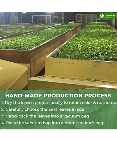 Lavendium 50+ Natural Banaba Dried Leaves Whole Banaba Leaves 100% Pure Dried Banaba Leaves Banaba Leaf Herbal Tea No Additives No Caffeine Vegan - Buy Online on GoSupps.com