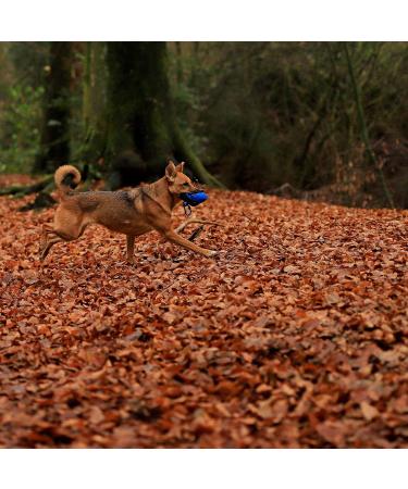 Liono Durable Feed Bag for Dogs | 18x7x7 cm Water-Repellent Snack Bag with Zipper Velcro Carabiner Hook | Blue - Ideal for Treats & Travel - Buy Online on GoSupps.com